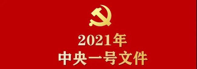 2021年中央一號文件公布 提出全面推進(jìn)鄉(xiāng)村振興